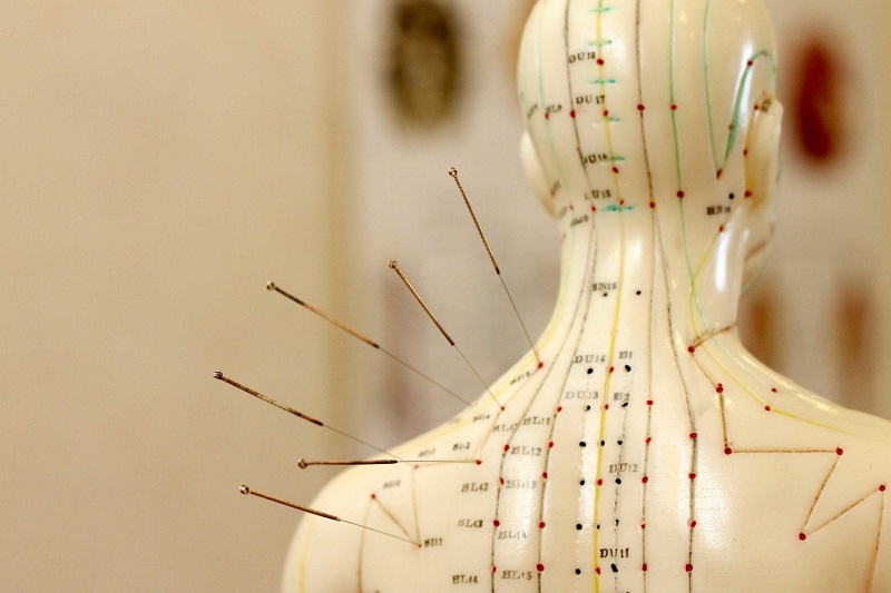 acupuncture learning
